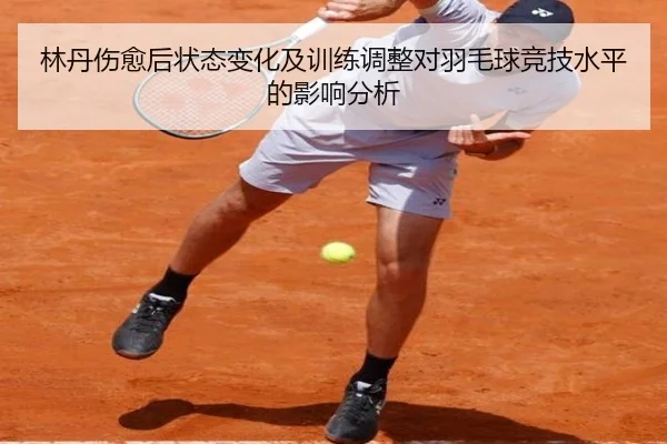 林丹伤愈后状态变化及训练调整对羽毛球竞技水平的影响分析