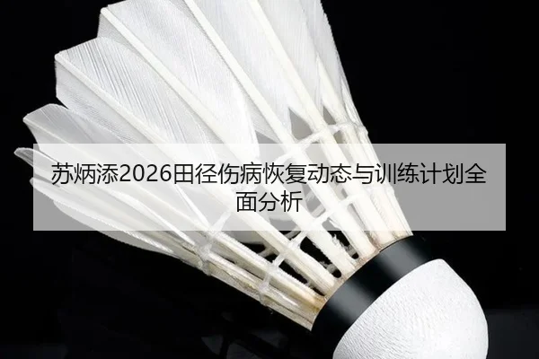 su-bing-tian-tian-jing-shang-bing-hui-fu-dong-tai-yu-xun-lian-ji-hua-quan-mian-fen-xi-2-780.jpg