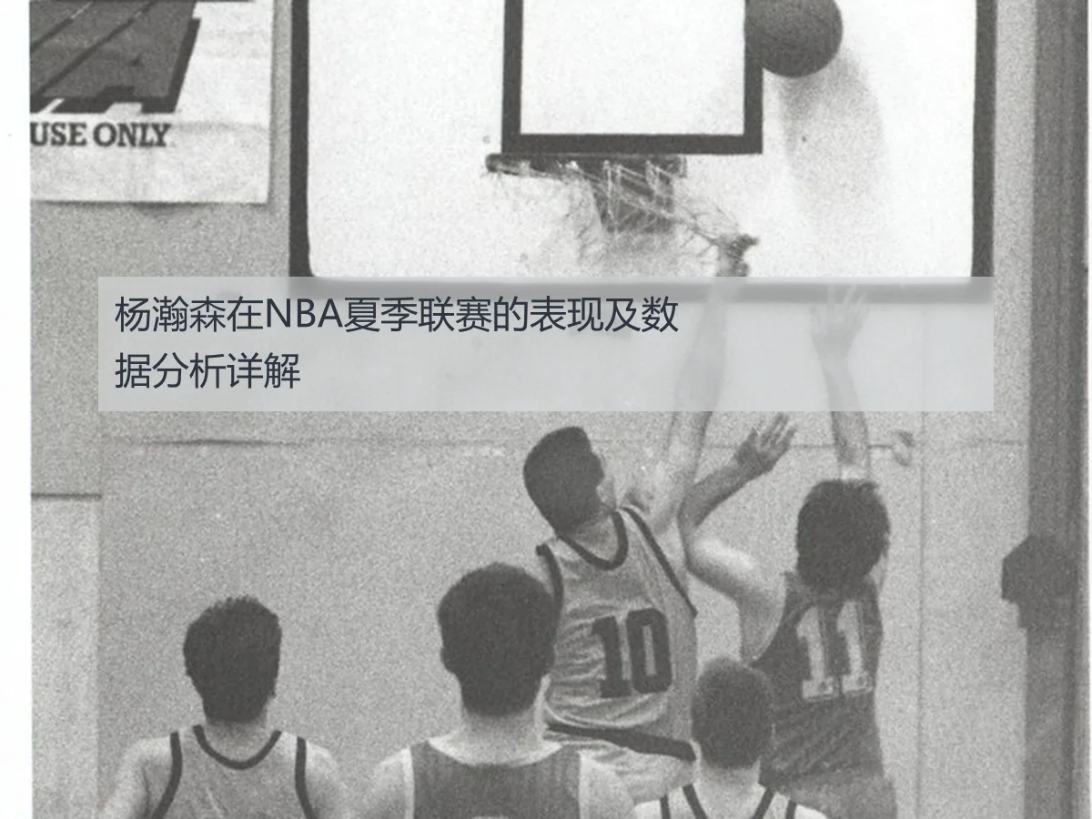 杨瀚森在NBA夏季联赛的表现及数据分析详解