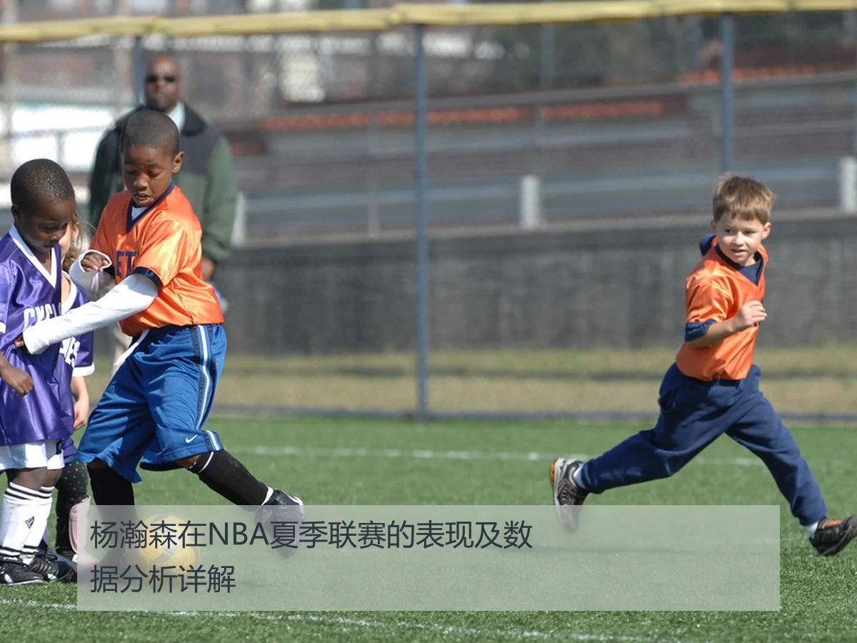 杨瀚森在NBA夏季联赛的表现及数据分析详解