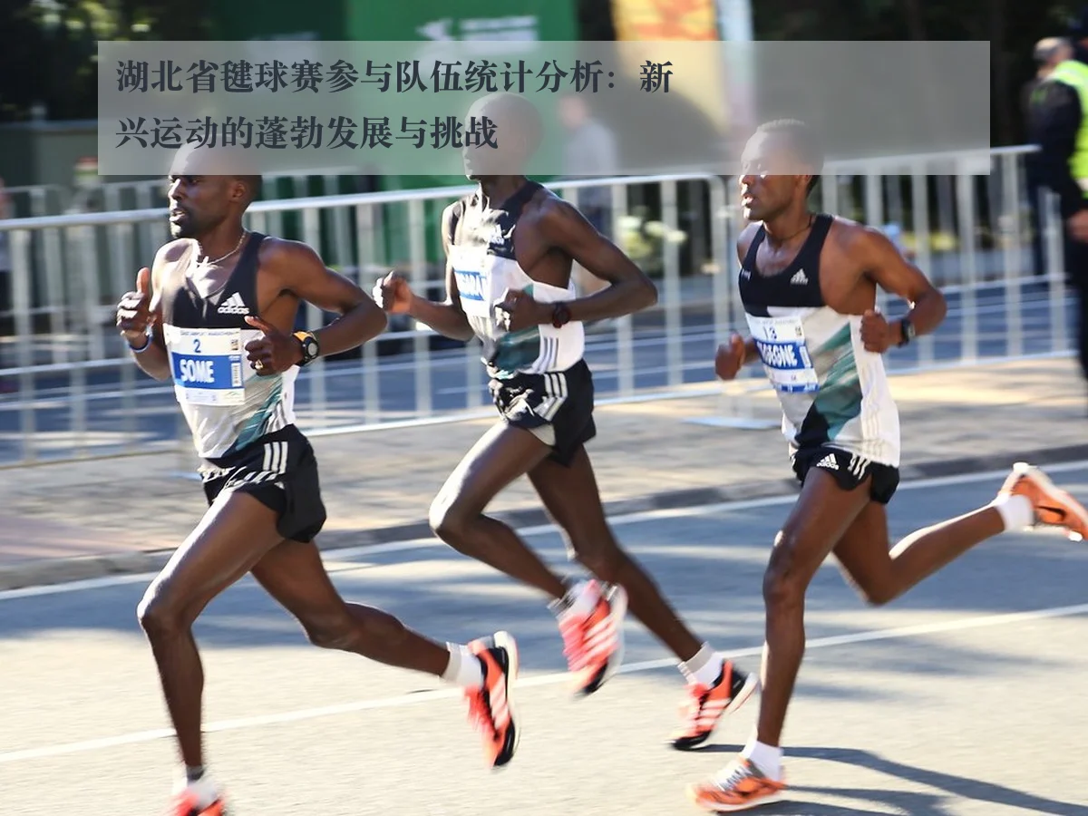 湖北省毽球赛参与队伍统计分析:新兴运动的蓬勃发展与挑战